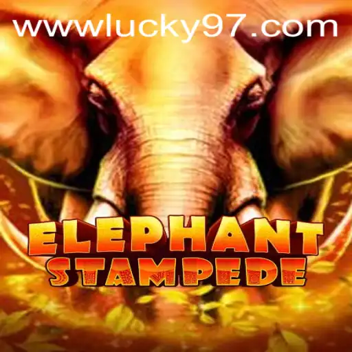 The Thrill of ElephantStampede: A New Chapter in Gaming with Lucky97